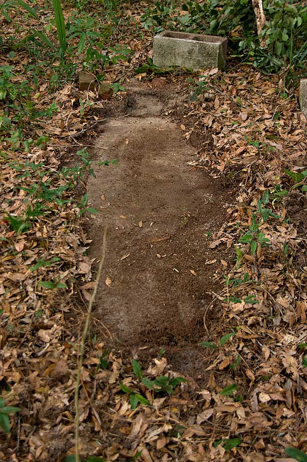  Unknown Gravestone Photo