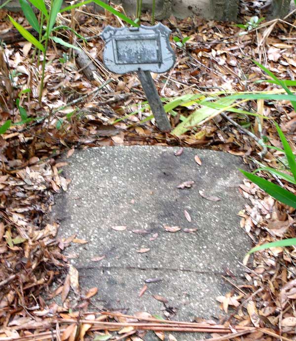  Unknown Gravestone Photo