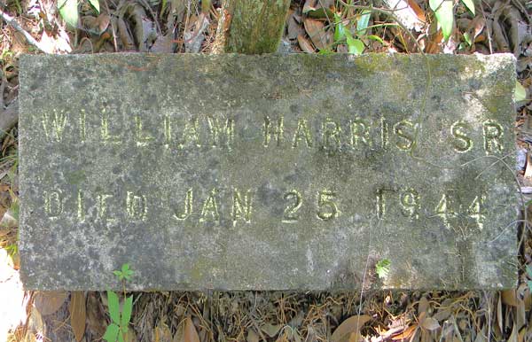 William Harris Gravestone Photo