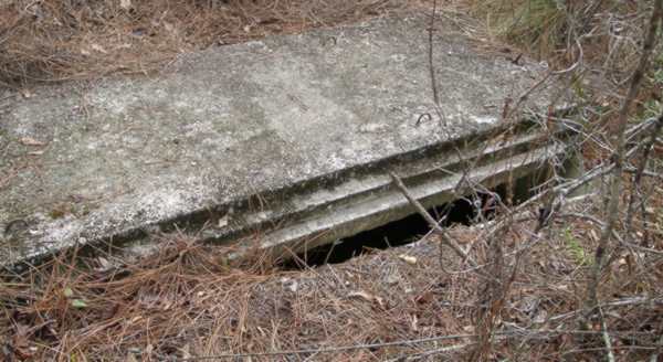  Unknown Gravestone Photo