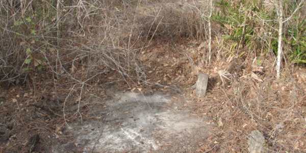  Unknown Gravestone Photo