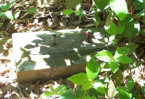  Detail Gravestone Photo