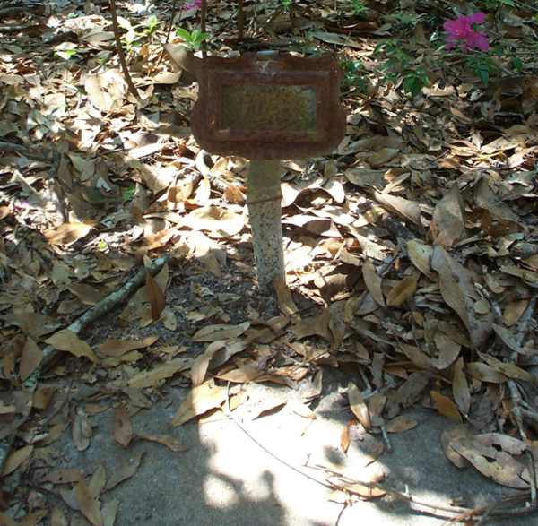  Unknown Gravestone Photo
