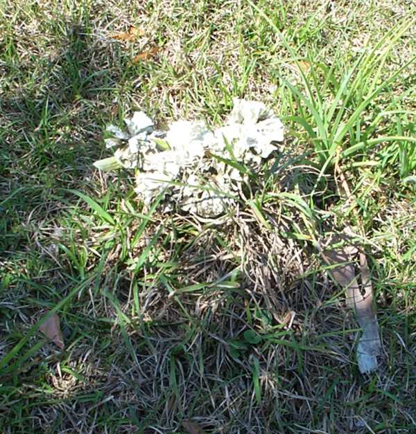  Unknown Gravestone Photo