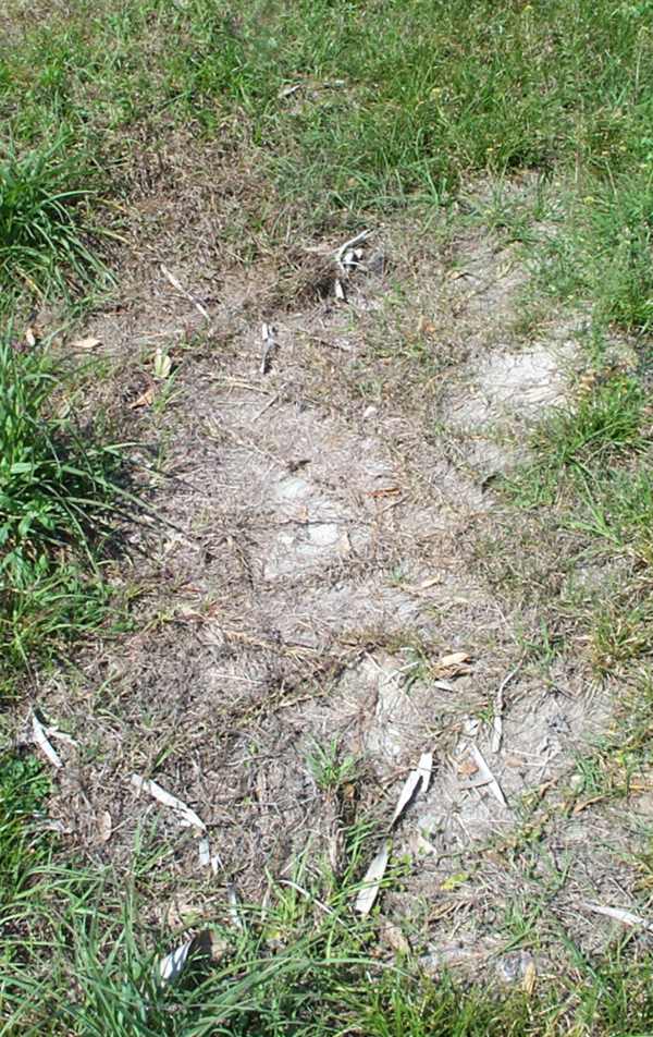  Unknown Gravestone Photo