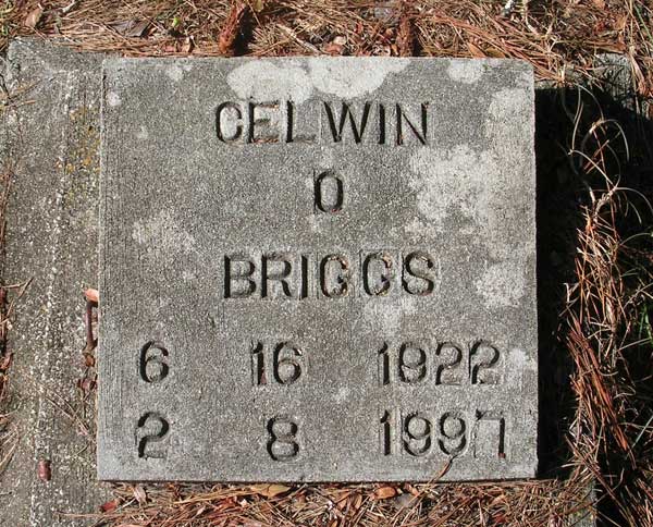 Celwin O. Briggs Gravestone Photo