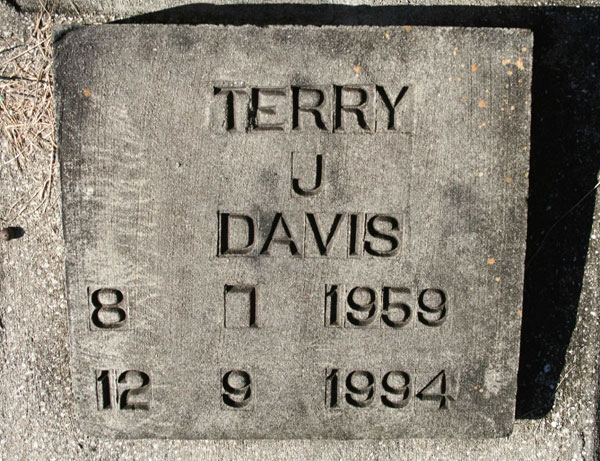 TERRY J. DAVIS Gravestone Photo