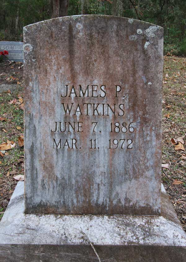 James P. Watkins Gravestone Photo