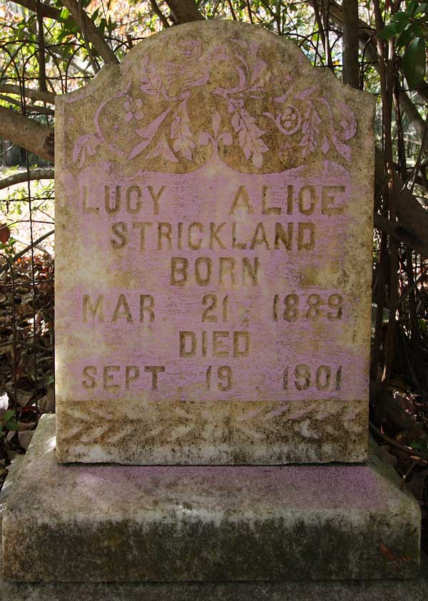 Lucy Alice Strickland Gravestone Photo