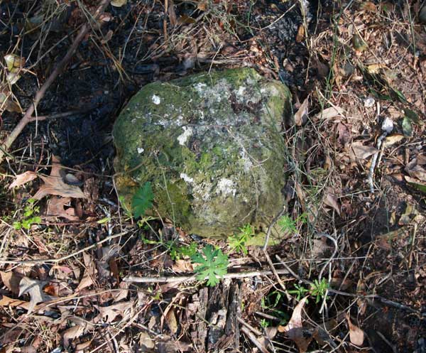  Unknown Gravestone Photo