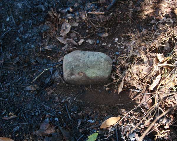  Unknown Gravestone Photo
