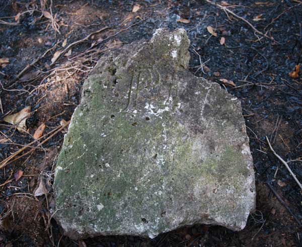  Unknown Gravestone Photo