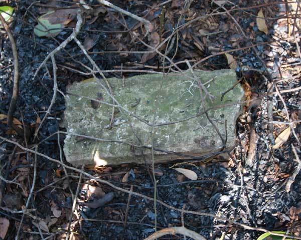  Unknown Gravestone Photo