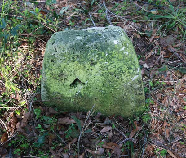  Unknown Gravestone Photo