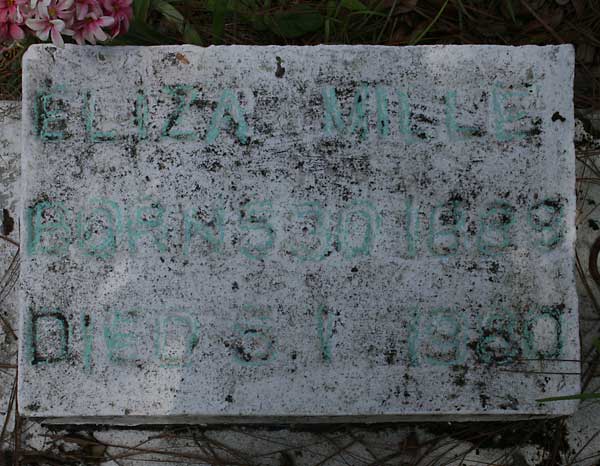 Eliza Mills Gravestone Photo