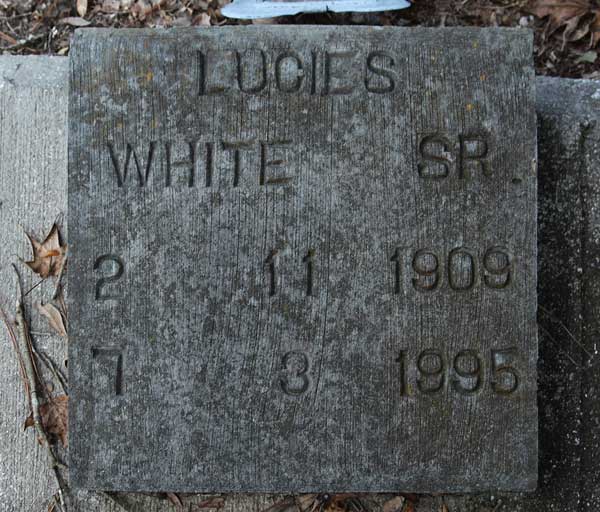 Lucies White Gravestone Photo