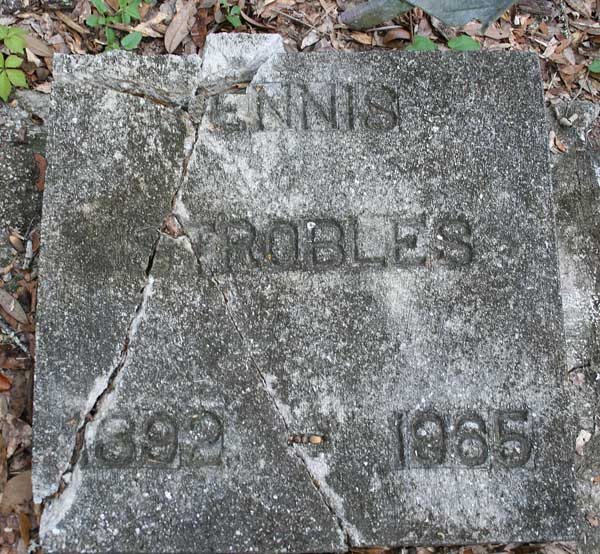 Ennis Strobles Gravestone Photo