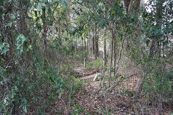  Wide Angle View from the side Gravestone Photo