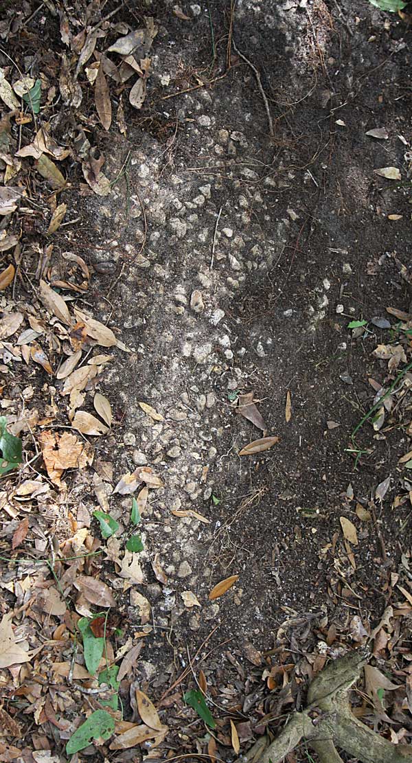  Unknown Gravestone Photo