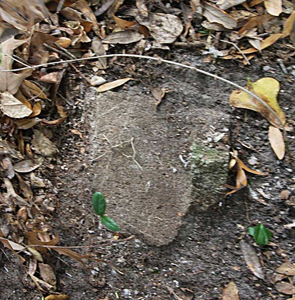  Unknown Gravestone Photo