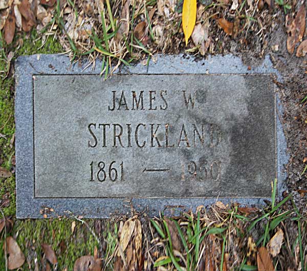 James W. Strickland Gravestone Photo