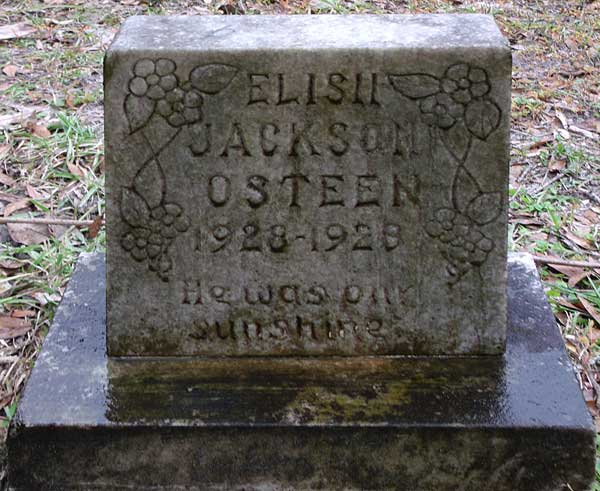 Elish Jackson Osteen Gravestone Photo