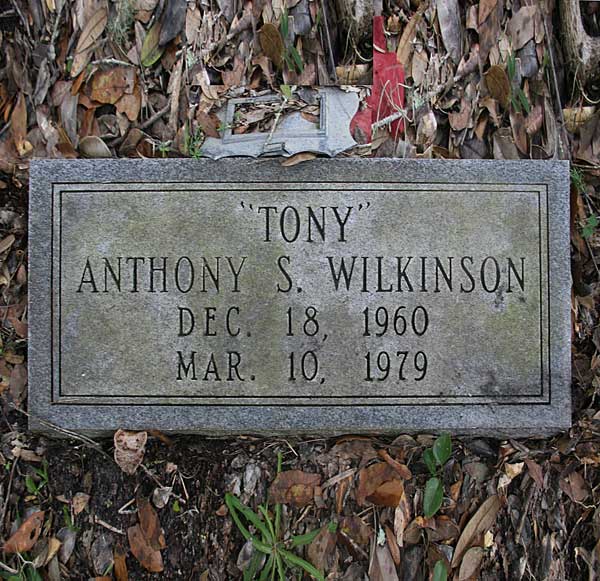 Anthony S. Wilkinson Gravestone Photo