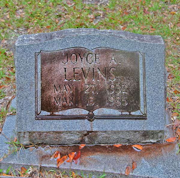 Joyce A. Levins Gravestone Photo