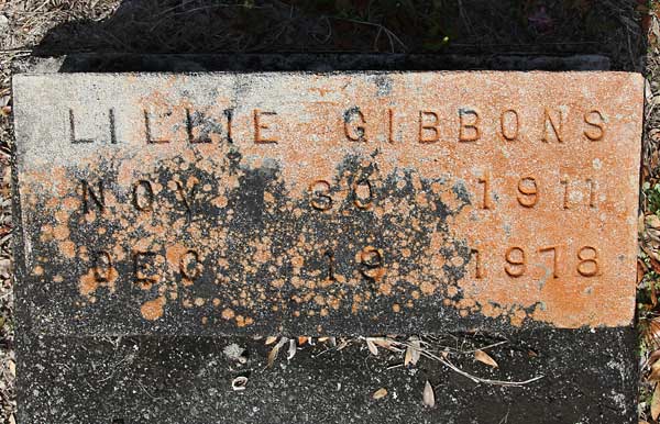 LILLIE GIBBONS Gravestone Photo
