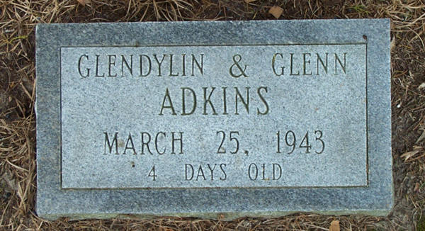 Glendylin & Glenn Adkins Gravestone Photo