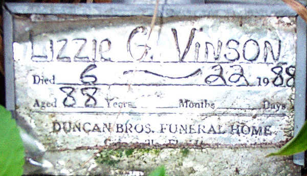 Lizzie G. Vinson Gravestone Photo