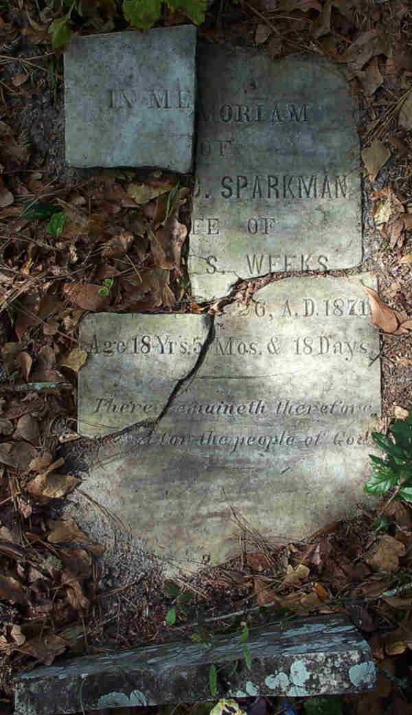 A.C. Sparkman Weeks Gravestone Photo