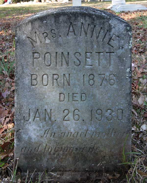 Annie Poinsett Gravestone Photo