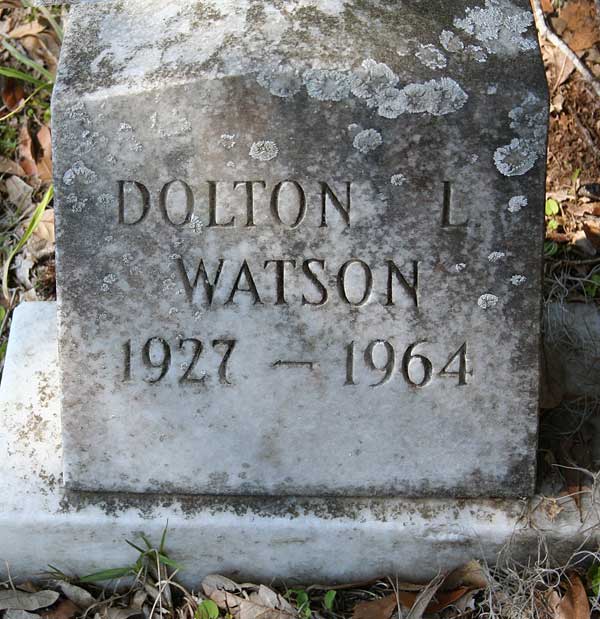 Dolton L. Watson Gravestone Photo