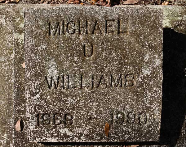 Michael U. Williams Gravestone Photo