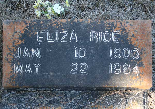 Eliza Rice Gravestone Photo