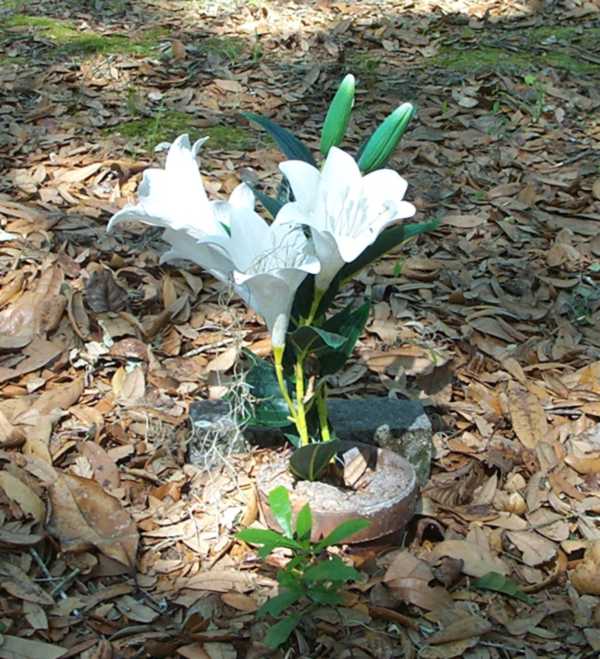  Unknown Gravestone Photo