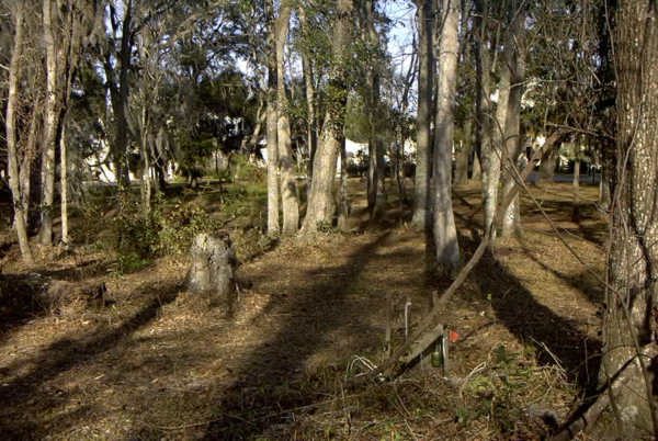  Wview Gravestone Photo