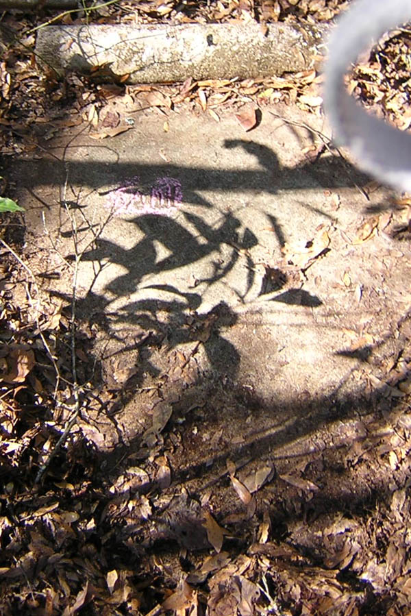  Unknown Gravestone Photo