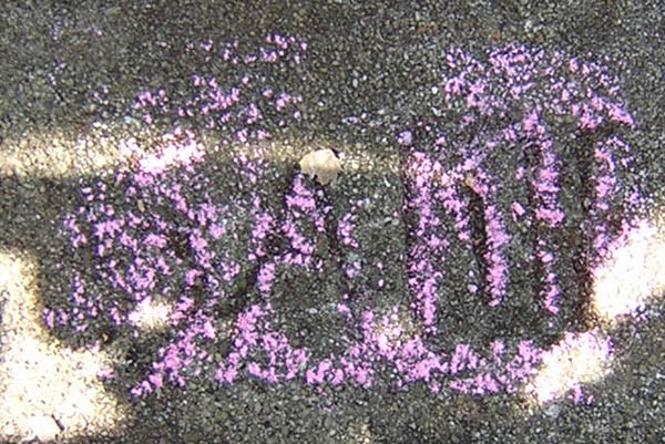  Unknown Gravestone Photo