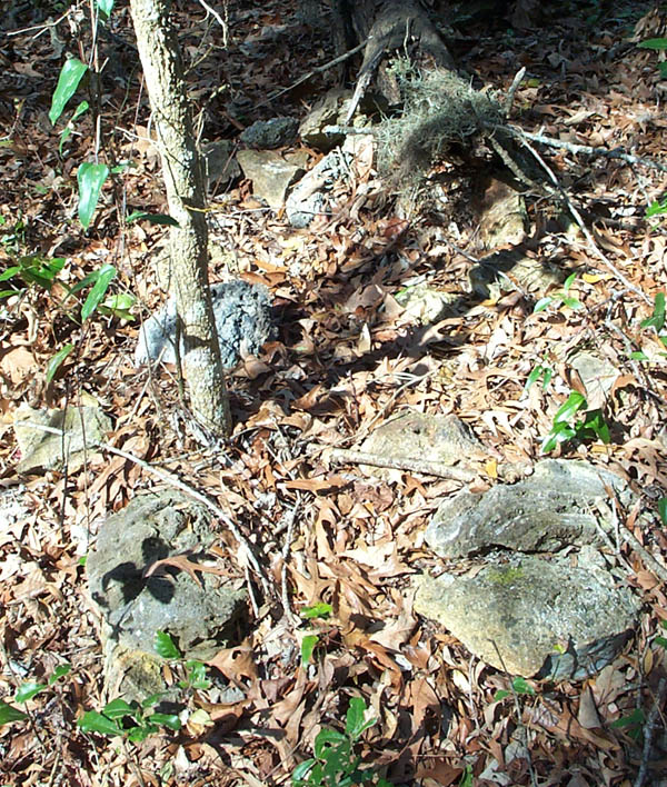  Unknown Gravestone Photo