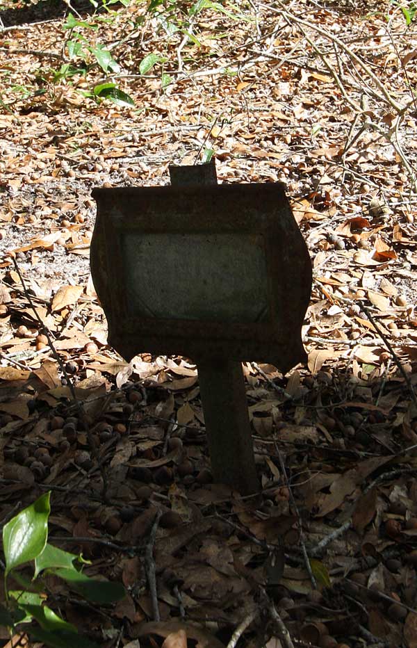  Unknown Gravestone Photo