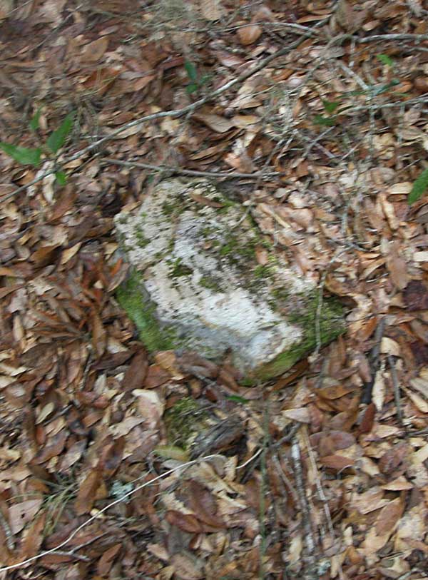  Unknown Gravestone Photo