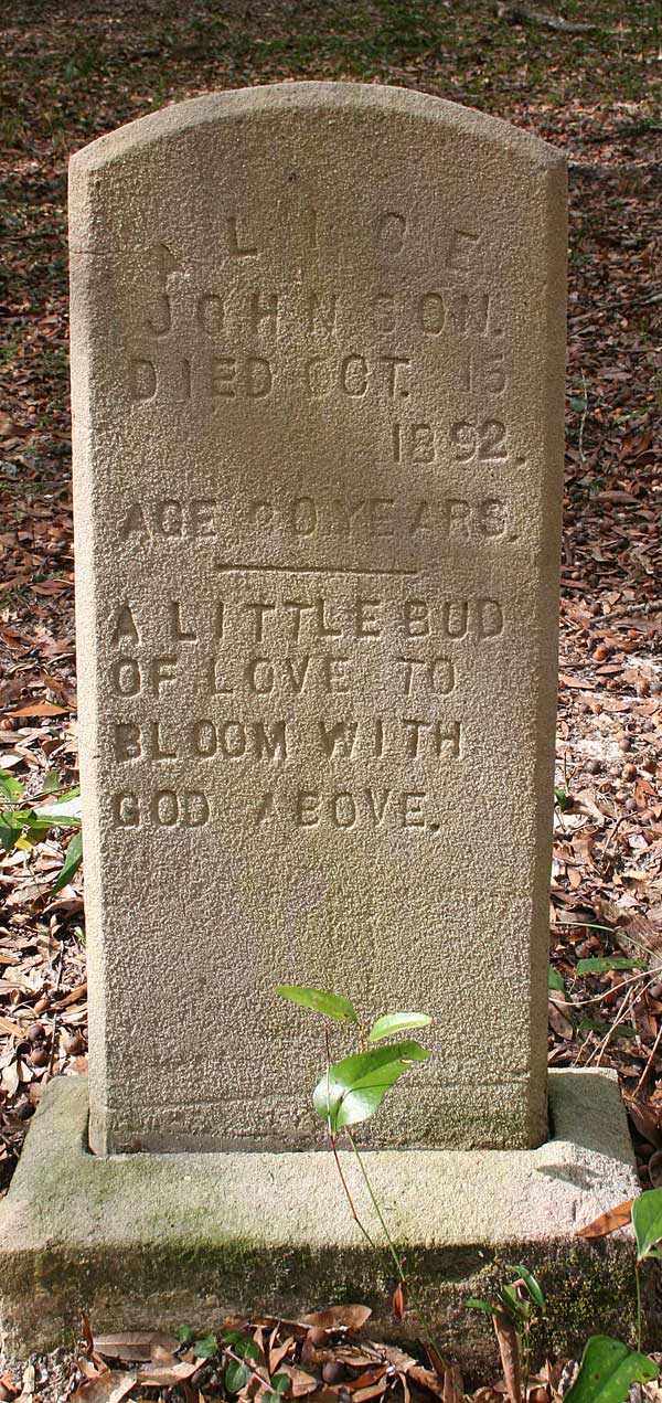 Alice Johnson Gravestone Photo