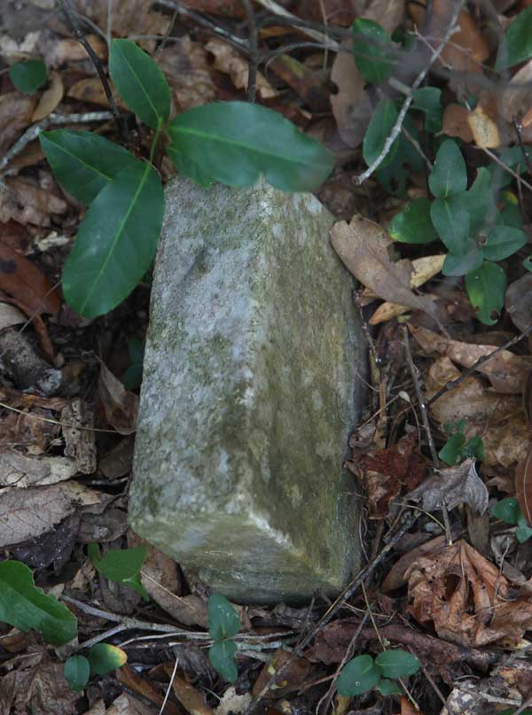  Unknown Gravestone Photo