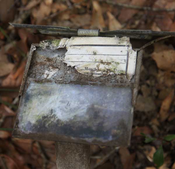  Unknown Gravestone Photo