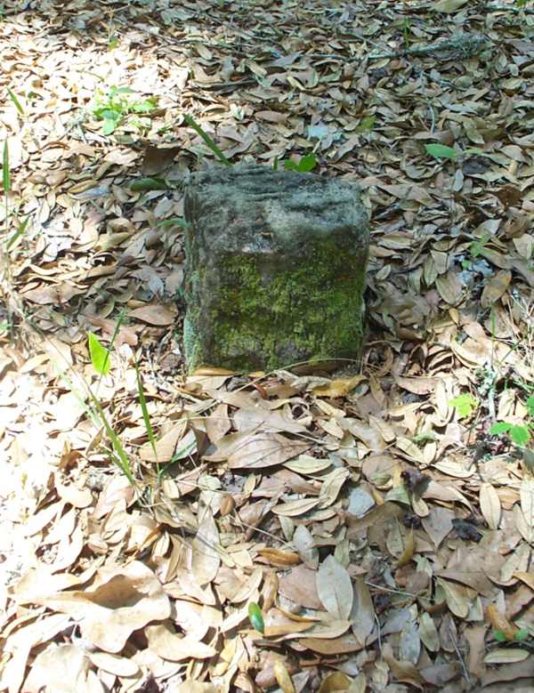  Unknown Gravestone Photo