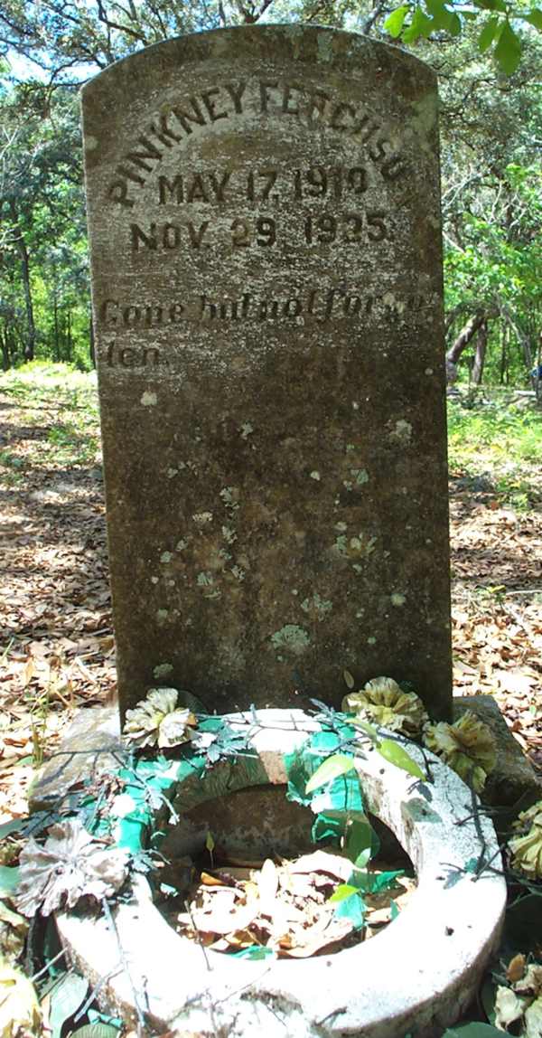 Pinkney Ferguson Gravestone Photo