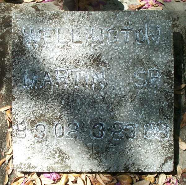 Wellington Martin Gravestone Photo