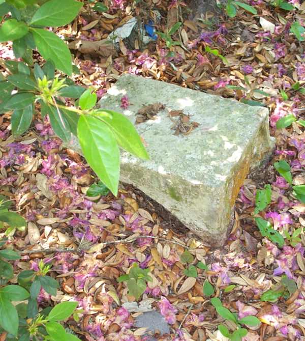  Unknown Gravestone Photo